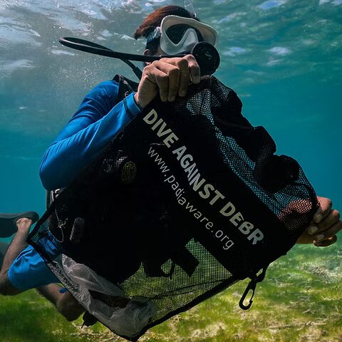 Dive Against Debris