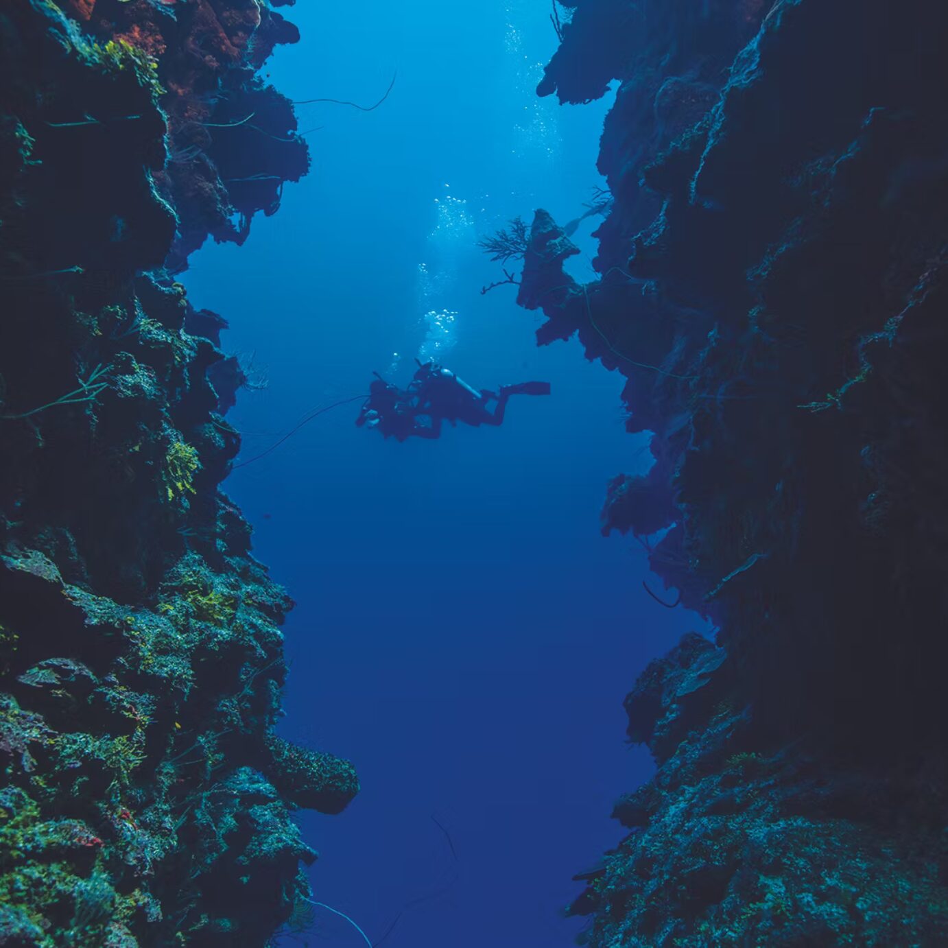Deep Diver
