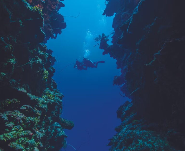 Deep Diver