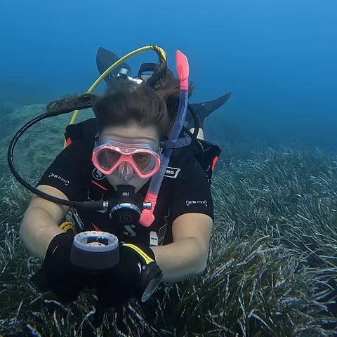Underwater Navigator