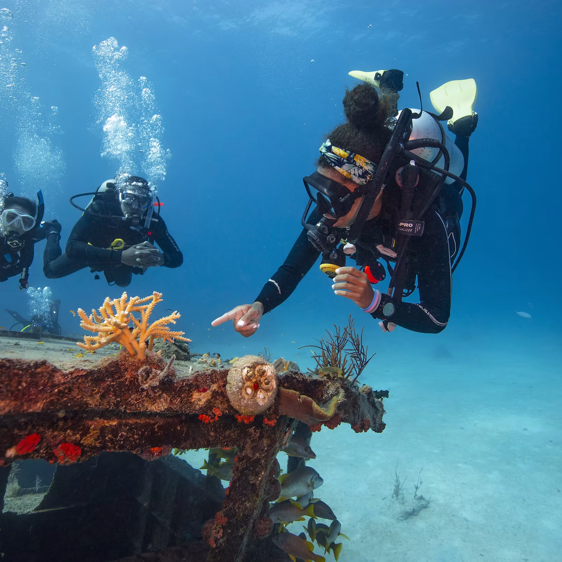 Divemaster Kerveli Aquanauts