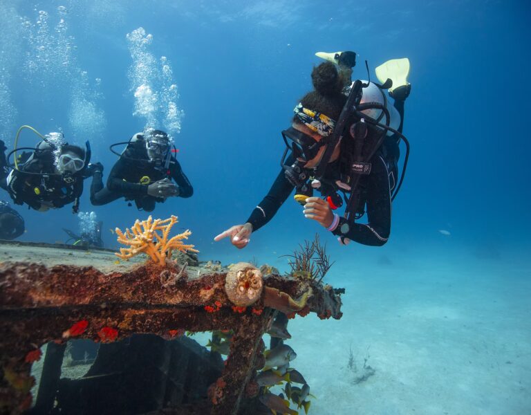 Divemaster Kerveli Aquanauts