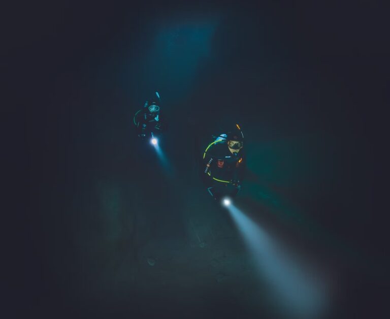 Night diver