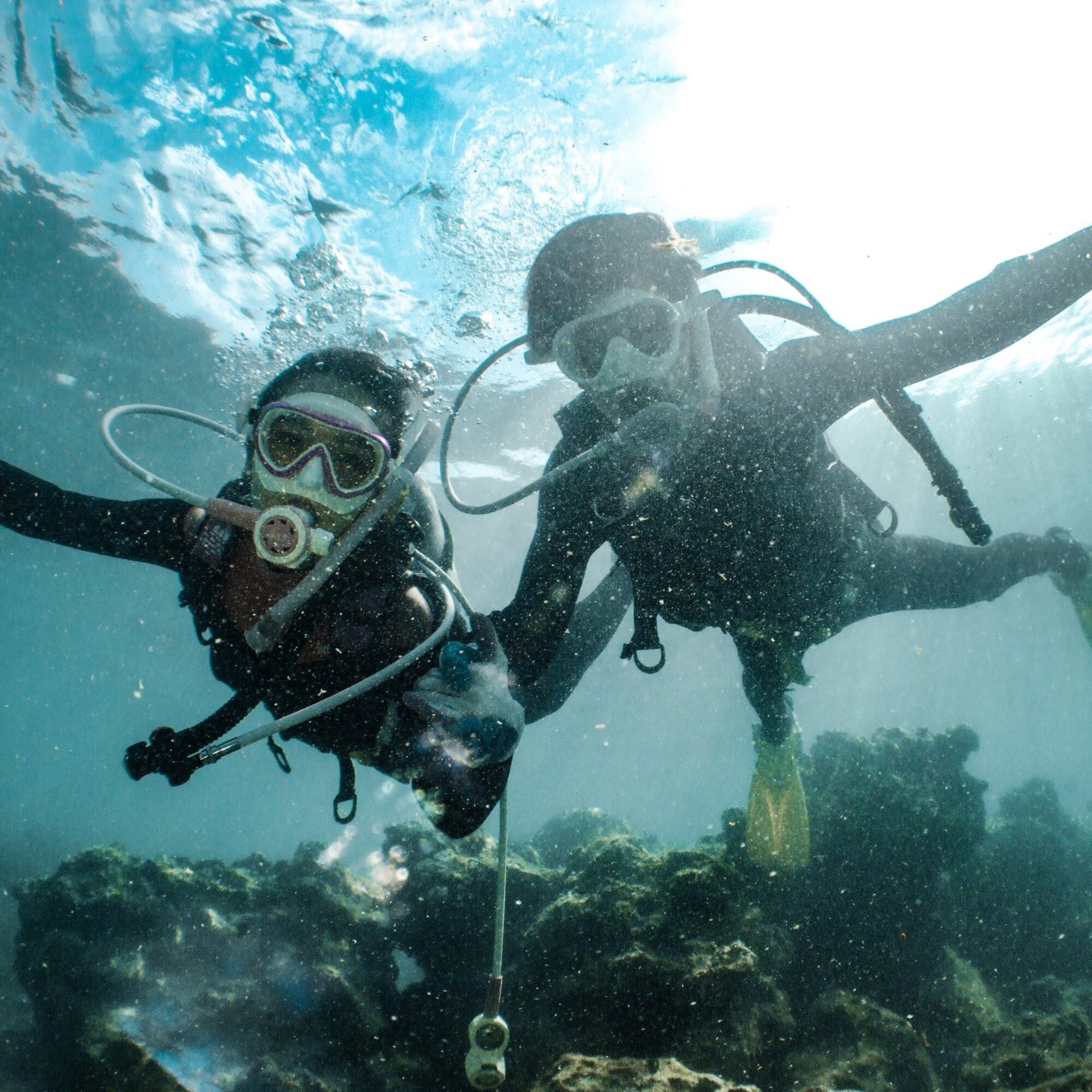 underwater shot